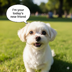 Hire Today's new friend  — Kids & Family YouTube creator for sponsorships