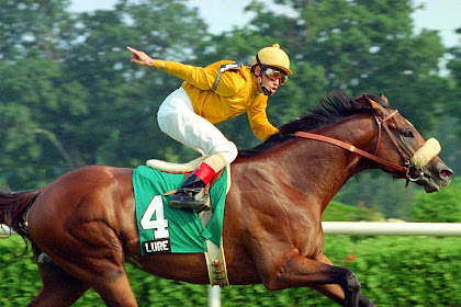 Horse Racing YouTube