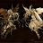 inquisitor 717