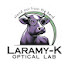 FfgT1UFlO1A-channel-avatar-Laramy-K Optical