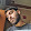 Uzair Khan