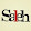 Saleh Adrian