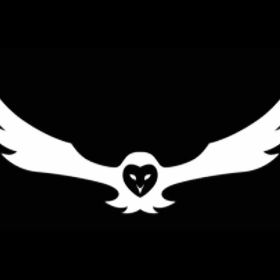 Thumbnail of TECHNO GAMER Yt channel