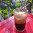26-3 tùng phạm thanh