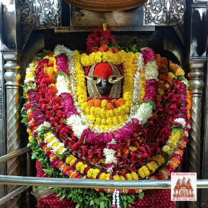 Krishna Pandey