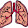 A Pair of Lungs