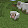 Mikey Sheep