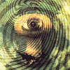 Psychedelic Eyeball
