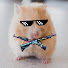 Xom9china csgo