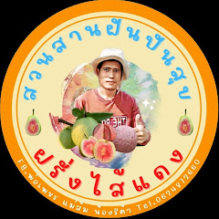 Логотип каналу สวนสานฝันปันสุข เกษตรกรBY: พ่อเพชร