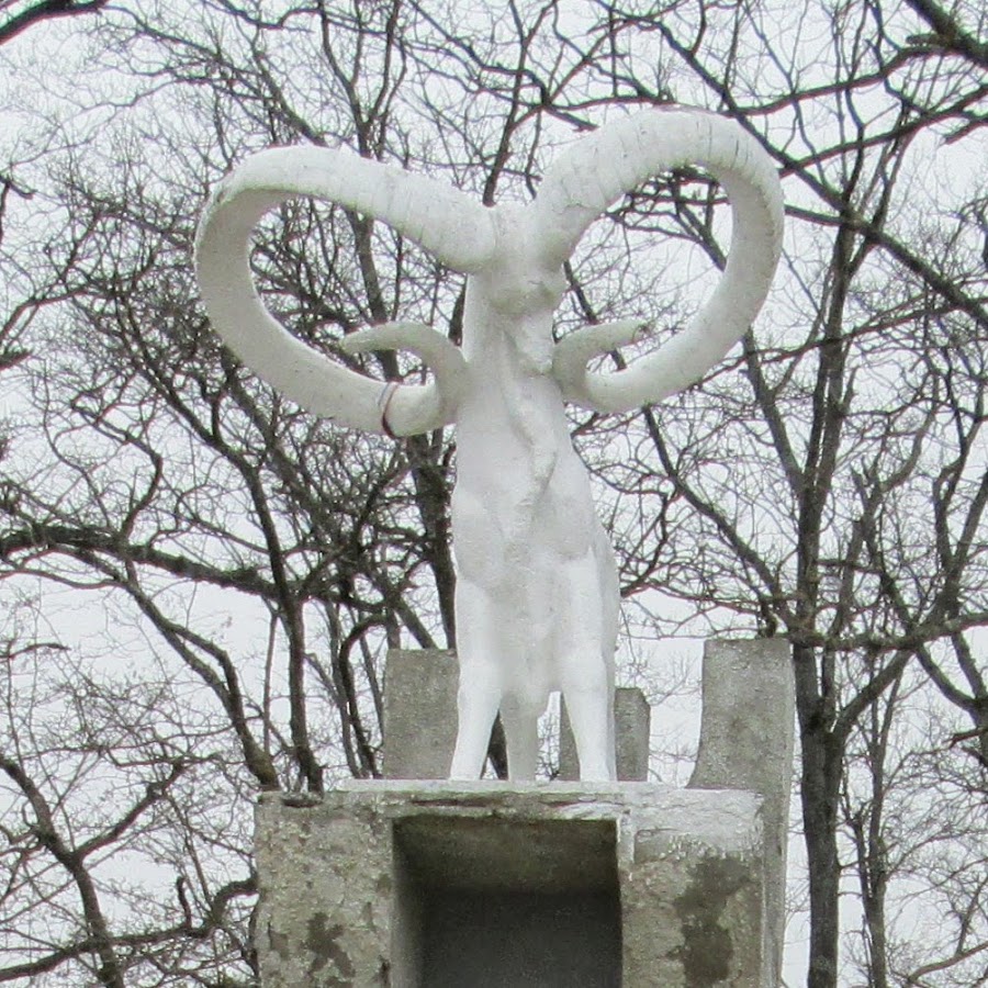 photo.jpg