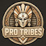 d9z6t3klkn4-channel-avatar-Pro Tribes and Surname Soup