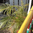 AUpIU1_k9z4-channel-avatar-@Lamia Jannat kitchen 