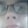 15 Quarmi,YABOIBEACON, and Faggot