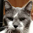 @RunRisk69's avatar