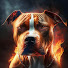 Pitbull Ss