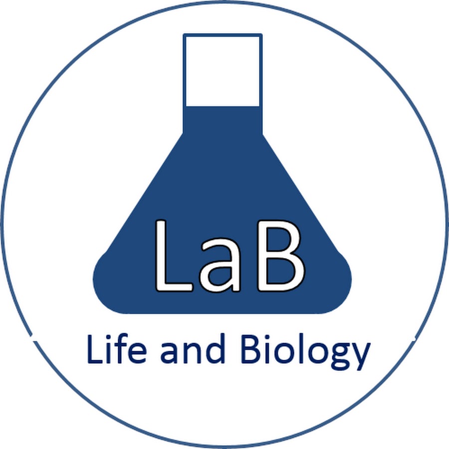 Lab zero. Lab zero