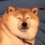 トンガリ