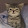 nice cats
