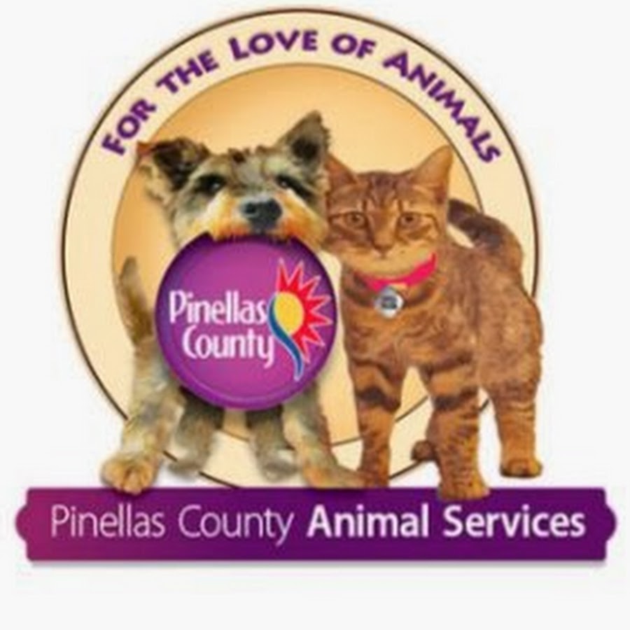 Image result for pinellas county animal services largo fl