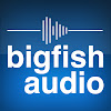 Big Fish Audio