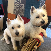 Hamish and Bonnie the Westies