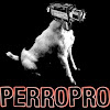 perroprod