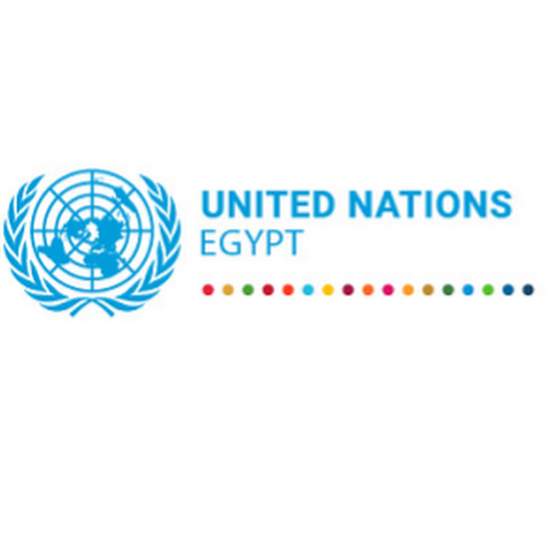 UN Egypt