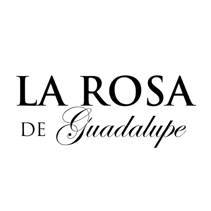 La rosa de Guadalupe Net Worth & Earnings (2024)