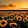 Sunflower War