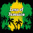 Lens of Jamaica