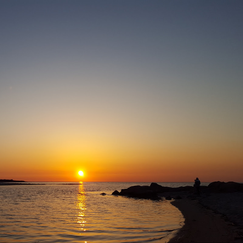 Cape Cod Nature