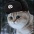 Дима Гагарин