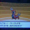 shinyhunter