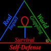 RealWorldSelfDefense