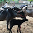 KWMKJEZZ1iM-channel-avatar-Nepali village