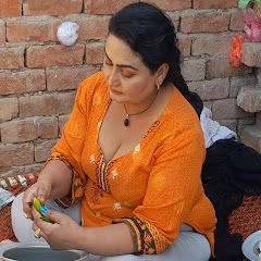 SHAZIA VLOGS 