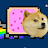 Nyan Doge
