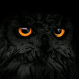 The Wise Owl logo