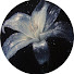 UbheX2YMcA0-channel-avatar-Oopsitsmusic