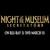 Night At The Museum