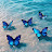 @FarahHassan-zh5tb