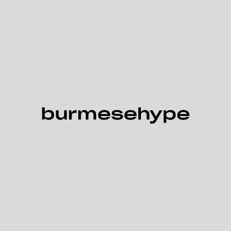 Burmese Hype