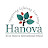 Hanova