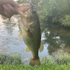 Tackle strike