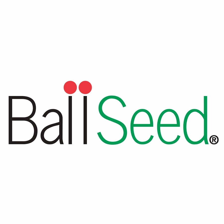 Ball Seed YouTube