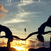 oneloveyoga