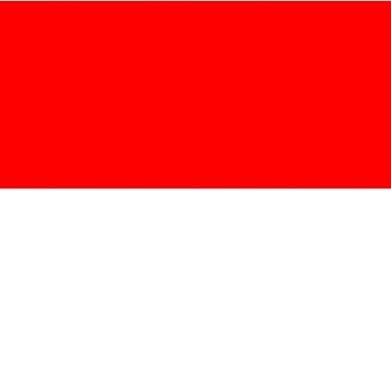 INDONESIA TECH SONY avatar