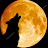 photo.jpg