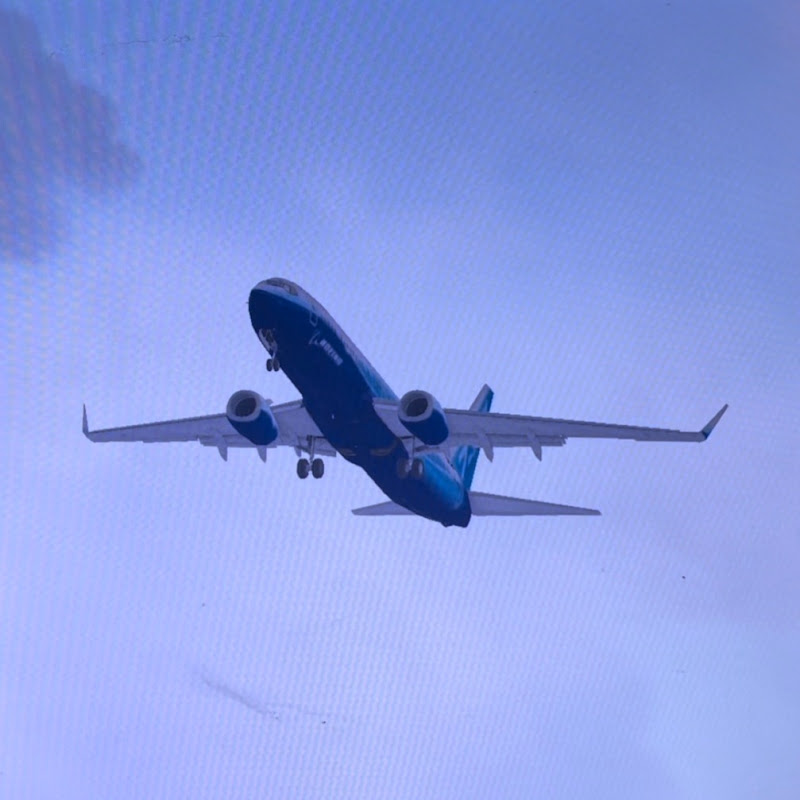 FlightSimX007